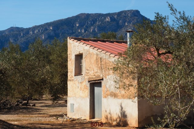 Finca in Roquetes / Tortosa with water 